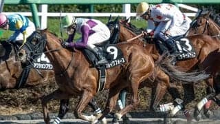 【マーチS】ブレイクフォース、サンデーファンデーなどが登録