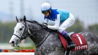 【阪神大賞典】武豊「（次の目標は？）最終レースです（笑）」アドマイヤテラで前人未到の40年連続重賞V