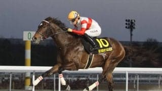 【黒船賞】ダノンフィーゴは6枠8番へ