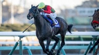 【日経賞登録馬】コスモキュランダなど16頭