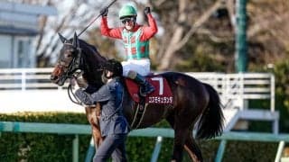 【日経賞見どころ】有馬記念2着のコスモキュランダが重賞2勝目を狙う