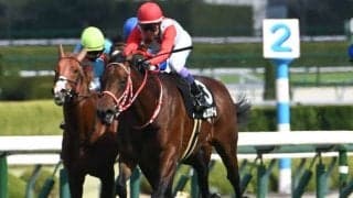 【毎日杯見どころ】アルメリア賞を圧勝したカフジエメンタールが重賞初制覇を狙う