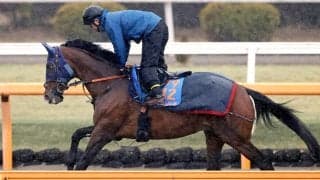 【日経賞・イシゴーの特注馬】ローシャムパークに感じる“線”の調整過程　田中博調教師「とても順調に来ている」