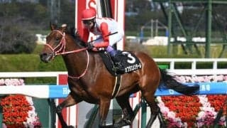 【毎日杯想定騎手】カフジエメンタールは武豊騎手、アルトラムスは岩田望来騎手