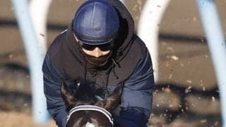 【注目馬動向】マスカレードボールが香港クイーンエリザベス２世Ｃの招待を受諾　鞍上は引き続きルメール騎手