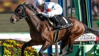 【日経賞想定騎手】マイユニバースは横山典弘騎手、ローシャムパークはC.ルメール騎手
