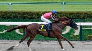 【マーチS想定騎手】オメガギネスは横山和生騎手、プロミストジーンは津村明秀騎手