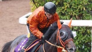 【注目馬動向】ジャンタルマンタルは川田将雅騎手とチャンピオンズマイル出走へ　２４年以来２度目の香港遠征に挑む