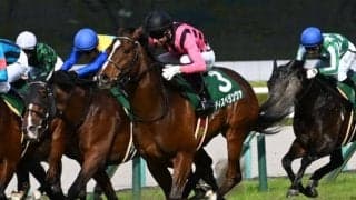 【先週のJRA抹消馬】一昨年のアーリントンC覇者ディスペランツァ、芝短距離で4勝のグランテストなど
