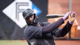 【日本ハム】昨季２冠レイエス「運の要素強いが」２大目標「50発＆100打点」で勝利呼び込む