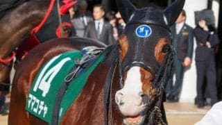 【高松宮記念】ノーザンファーム生産馬が20年ぶり制覇なるか 3年連続参戦のママコチャが最有力候補
