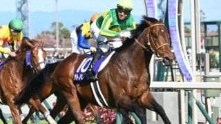 【AI予想・高松宮記念】連覇か、新星誕生か 三者三様の魅力がある人工知能の本命候補