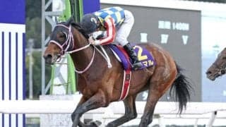 シャマルが史上2頭目の快挙へ 黒船賞で“平地同一グレード重賞4連覇”を狙う