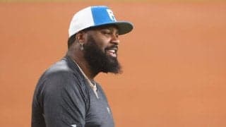 日本ハム・レイエス　今季目標は５０発＆１００打点も勝利が最優先「５０本打って優勝できないより、３０本しか打てなくても優勝できる方がうれしい」