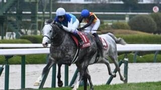 アドマイヤテラが阪神大賞典V 父レイデオロは芝長距離で“史上最強クラス”の種牡馬