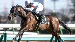 【日経賞展望】データに合致するマイユニバースが重賞初制覇へ挑む