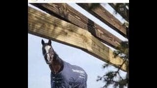 有名牧場が見学マナーに一石　「ありえない」「死活問題」「動物園じゃないんだから」ネットは賛同と違反者らへ非難の声　