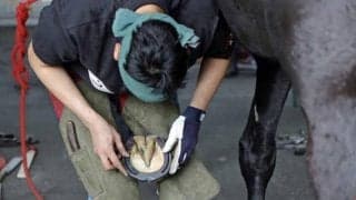 第32回装蹄競技大会に過去最多17名がエントリー 川井伸太郎さんが3連覇