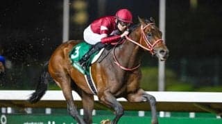 フォーエバーヤングこの1年 3戦3勝で総賞金45億円超に