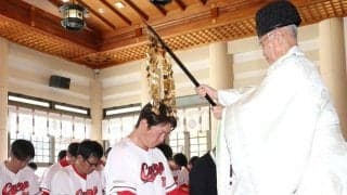 広島が広島護国神社で必勝祈願　４２年ぶり日本一へ　島内「目の前の試合を全て勝つぐらいの気持ちで」