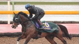 【高松宮記念】Ｇ１馬パンジャタワーは日を追うごとに良化　橋口調教師「今日はあまり気負うところがなかった」