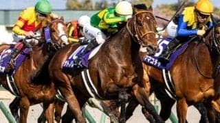 【高松宮記念】15年ぶり2頭目の連覇へ サトノレーヴがC.ルメール騎手で参戦だ