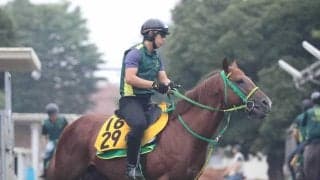 【日経賞】２頭出しの奥村武厩舎に激走の予感！　日経新春杯１２番人気で４着マイネルケレリウスは「中山は合いそう」と手応え