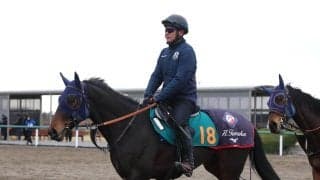 【ＰＯＧ・２歳馬情報】リバティアイランドの半弟ダノンダックスはトレセンで調整中　田中博調教師「とてもいい馬」