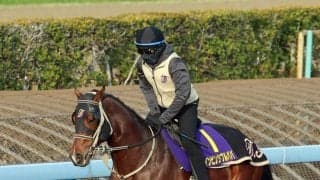 【高松宮記念】インビンシブルパパは初ブリンカーで押し切り狙う　伊藤大調教師「テンのスピードは世界でも通用」