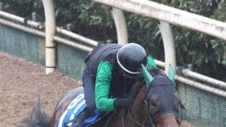 【Ｇ１トク捜リレー】２１日連続万馬券的中ルーキー記者注目はＧ１馬パンジャタワーと同じタワーオブロンドン産駒　高松宮記念