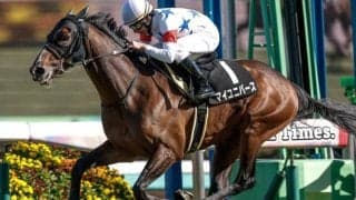 【日経賞予想オッズ】マイユニバースが予想1番人気