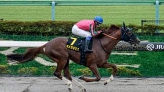 【マーチS予想オッズ】オメガギネスが予想1番人気