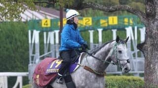 【高松宮記念】陣営「想像を上回る走りをしてくれる」２連勝→初重賞２着の上がり馬ララマセラシオンは初Ｇ１へ順調　
