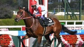 【毎日杯予想オッズ】カフジエメンタールが予想1番人気