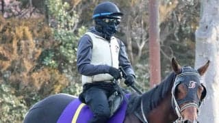 【高松宮記念】インビンシブルパパに秘密兵器　ブリンカー効果で一変だ　状態も上向き大一番へチャンス十分