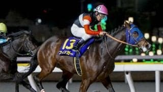 【大井・京浜盃注目馬】3歳ダート三冠の前哨戦 羽田盃に向かって階段を駆け上がるのは