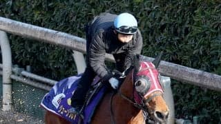 【高松宮記念】初Ｇ１タイトルへ鋭進！スプリント戦得意のジューンブレアが好仕上がり　武英調教師「逆転できるように」