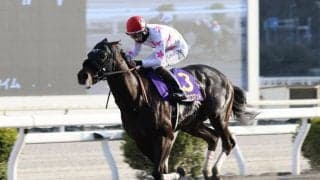 【黒船賞】人気のダノンフィーゴを封じた、マテンロウコマンドが完勝V