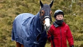 【注目馬動向】ファルコンＳを快勝したダイヤモンドノットはＮＨＫマイルＣへ　福永調教師「いい経験になった」