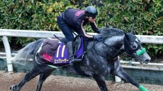 【高松宮記念】転厩初戦でも態勢が整ったビッグシーザー　陣営「馬なりで十分に反応できていました」