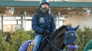 【注目馬動向】スプリングＳを制したアウダーシアは皐月賞を回避　日本ダービーへ直行