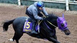 【高松宮記念】昨年のリベンジに向けペアポルックスが坂路で抜群の気配！梅田調教師「調子的には言うことない」