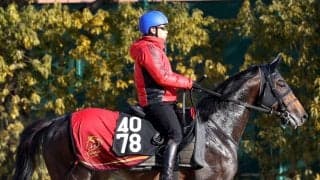 【注目馬動向】３億３０００万の高額馬ペイジャーが繋靭帯炎を発症　復帰は秋頃を予定　１月に新馬Ｖ