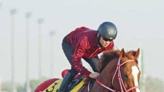 【注目馬動向】シンエンペラーがクイーンエリザベス２世Ｃの招待を受諾　前走はネオムターフＣ４着