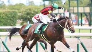 ２４年小倉２歳Ｓ覇者エイシンワンドが競走馬登録抹消　今後は園田競馬へ移籍する予定