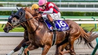 【高松宮記念】JRA史上初の偉業へ 9歳ウインカーネリアンがスプリントGI連勝狙う