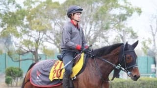 【注目馬動向】プロミストジーンはマーチＳを回避し地方交流重賞へ　鞍上は引き続き武豊騎手を予定