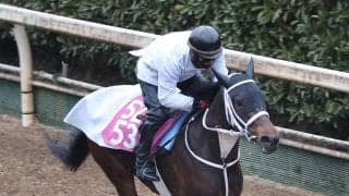 【注目馬動向】フラワーＣ勝ちのスマートプリエールは樫の舞台に照準　大久保調教師「オークスを目標に考えていきたい」