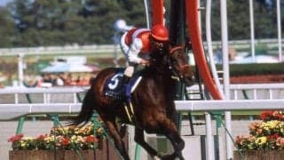 高松宮記念着差ランキング 1位は芝3戦目でGI制覇したショウナンカンプ