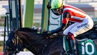 【高松宮記念】富田暁騎手がGI初制覇へ 25年京阪杯覇者のエーティーマクフィで挑む